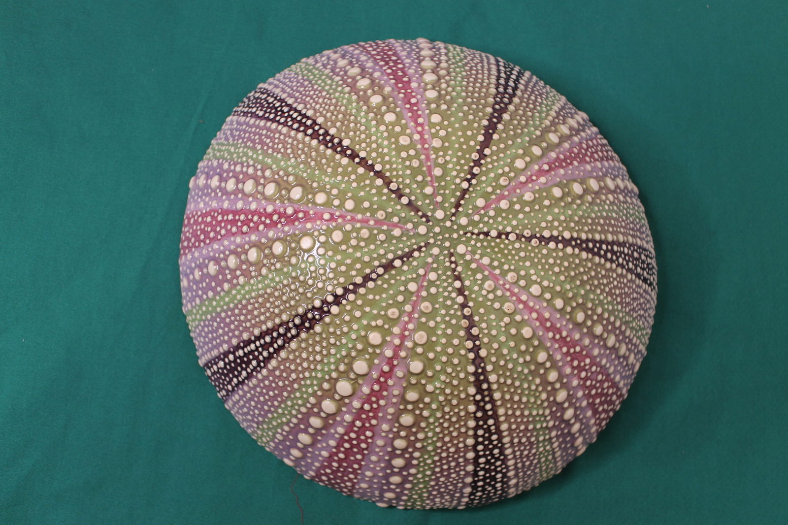Sea Urchin Pottery Clay Bowl: Sea Urchin Pottery Clay Bowl Sea side Art Pottery, Chester Nova Scotia, sea urchin bowl 13" diameter