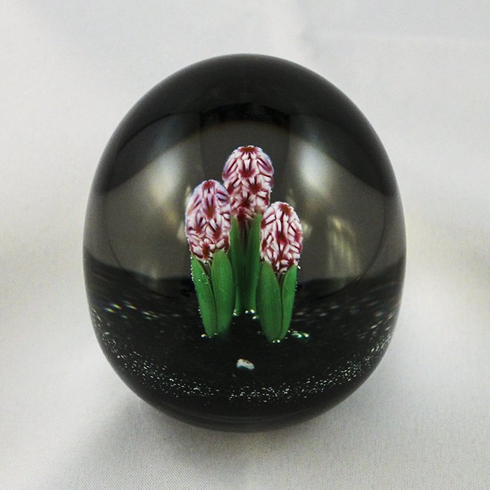 Baccarat, Modern 1985 Paperweight: Modern Baccarat 1982 paperweight. Cane 1, lampwork, flower, hyacinth. 3 pink hyacinthes, green leaves, green ground. DW: 69.5 HW: 75.7 W: 649.2