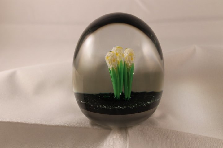 Baccarat, Modern 1982 Paperweight: Modern Baccarat 1982 paperweight. Cane 1, lampwork, flower, hyacinth. Jacinthe Jaune. 3 yellow hyacinths, with leaves on green ground. Width is 2 3/4" ht is 3"