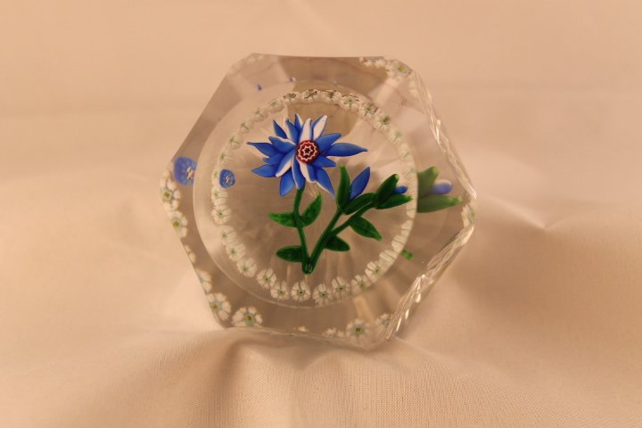 Baccarat, Modern 1969 Paperweight: Modern Baccarat 1969 paperweight. Cane 1, lampwork, flower, dahlia. Dahlia type blue and white flower, 2 blue buds, green leaves and stem, light green and white star cane ring, clear star cut base, fa