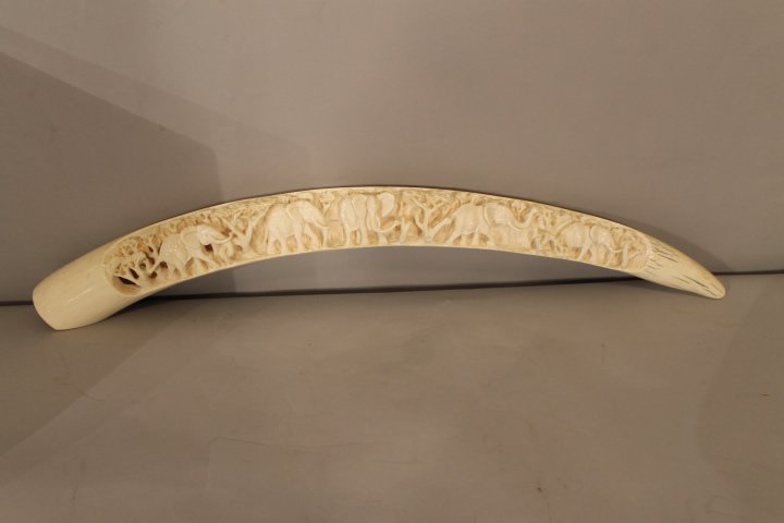 Philip Mabala PBI carved Tusk: 26 inches long carved ivory pre ban tusk by Philip Mabala, Has Cites registration. Incised signature. *NO IVORY PRODUCTS CAN BE SHIPPED OUT OF THE US*