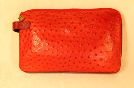 Gucci Red Ostrich Leather Clutch (1 of 8)
