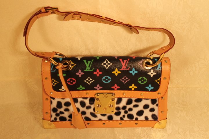 Louis Vuitton Monogrammed Dalmation Bag (1 of 8)