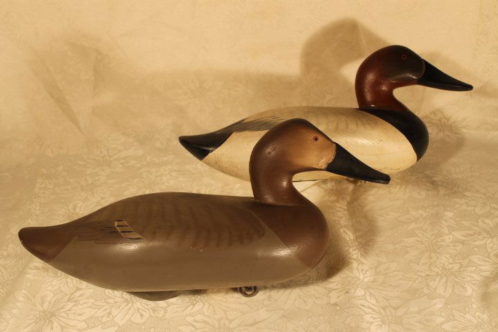 Lot of 2 Canvas Back Decoys (1 of 7)