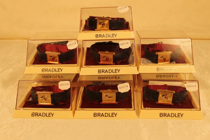7 Bradley Wristwatches in Cases (1 of 5)