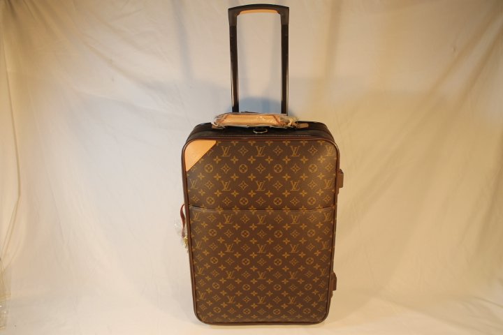 Louis Vuitton Monogram Structure Bag (1 of 10)