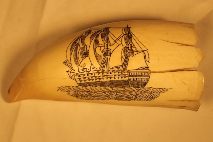 Whalebone Scrimshaw: Ship etched into bone tooth, size is 5 1/4" tall and it is umsigned