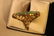 2-14kt Gold Asian Rings - 3