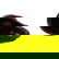 item-207076887=6