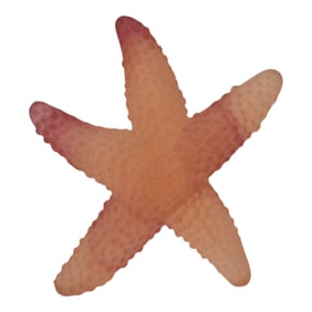 Daum Nancy France Pate De Verre Art Glass Orange Pink Textured Starfish Figurine
