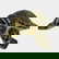 item-210571266=1