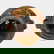 item-210571295=5
