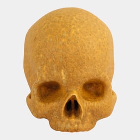 Odd Inq Pottery Jonathan While Skull Curdled Yellow Glaze Skull Casting