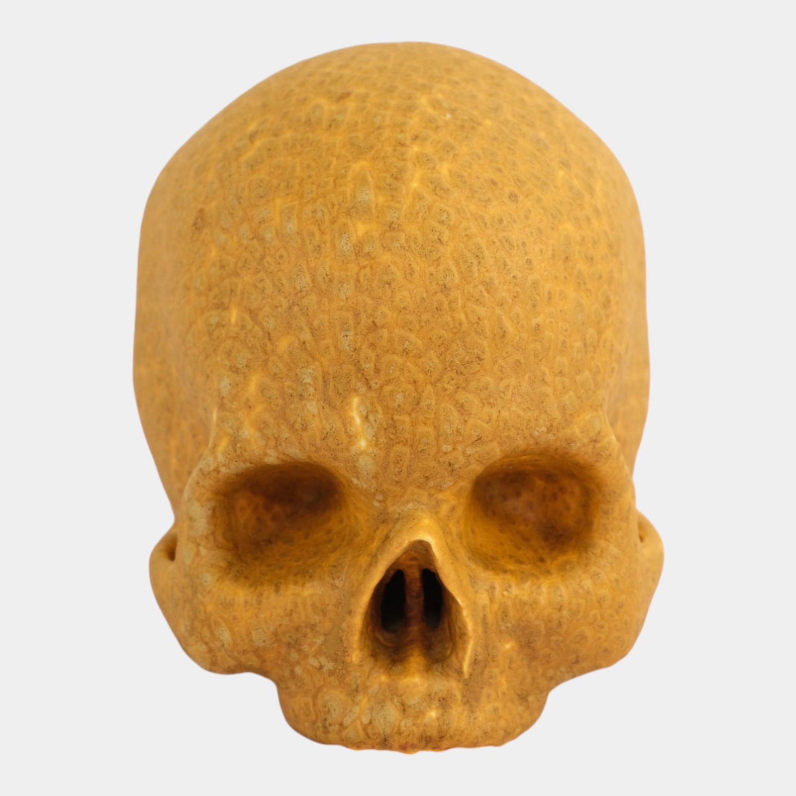 Odd Inq Pottery Jonathan While Skull Curdled Yellow Glaze Skull Casting: Odd Inq Pottery Jonathan While Skull Curdled Yellow Glaze Skull Casting Bold hand-crafted ceramic skull in rich mottled golden glaze, merging gothic expression with contemporary art pottery style and