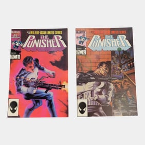 Punisher Limited Series #2 & #5 High Grade Comic Book Issues Marvel Comics