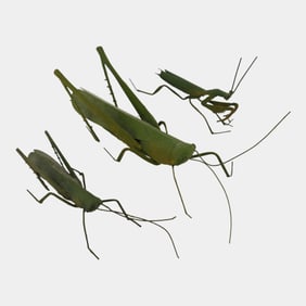 Metal Green Grasshopper And Praying Mantis Sculptures Figures