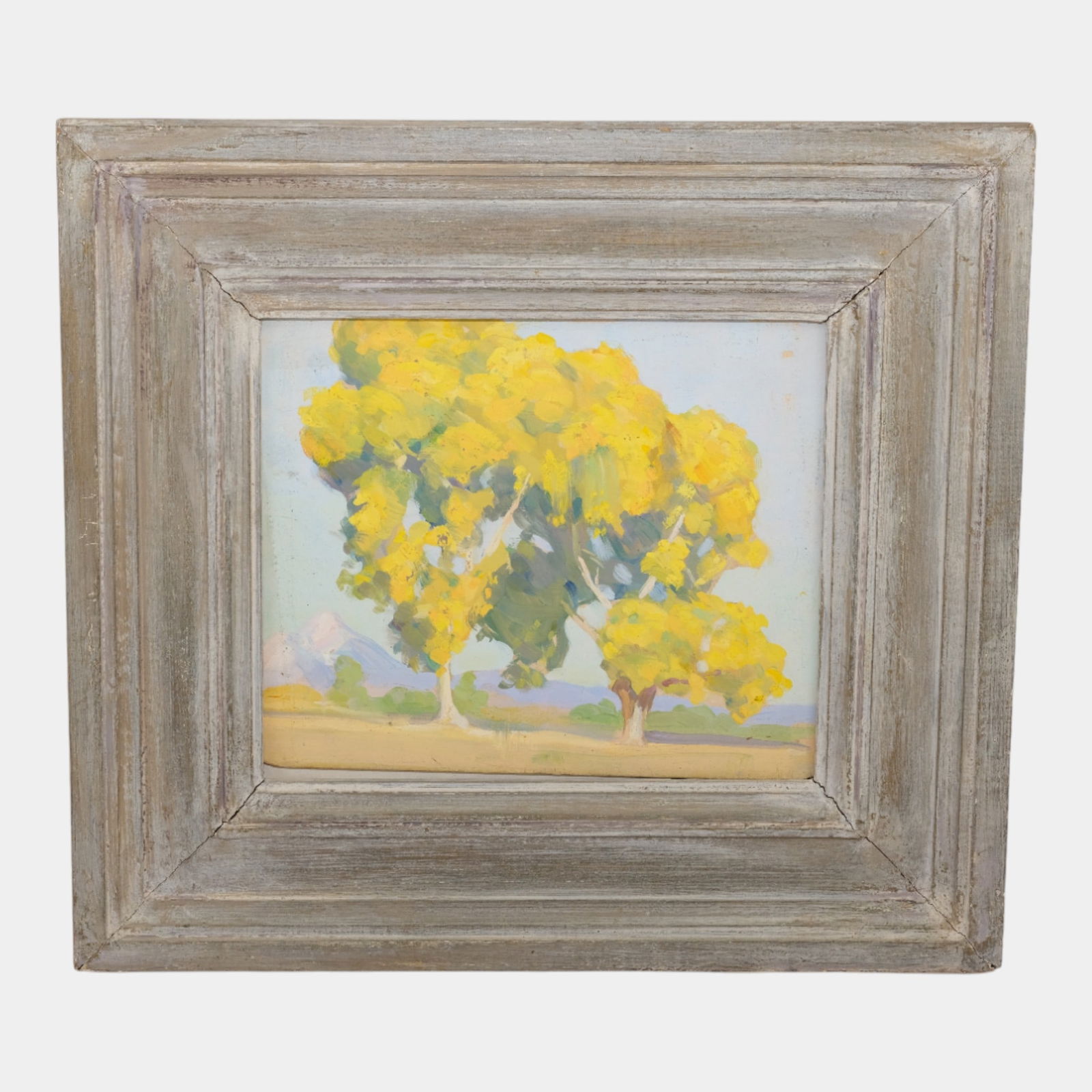 Lester Nass (Austrian, 1894-1990) Oil On Board Tucson Arizona Framed Painting: We offer affordable in-house shipping on all items. Lester Nass (Austrian, 1894-1990) Oil On Board Tucson Arizona Framed Painting Vividly sunlit and warmly expressive, this Arizona landscape by Leste