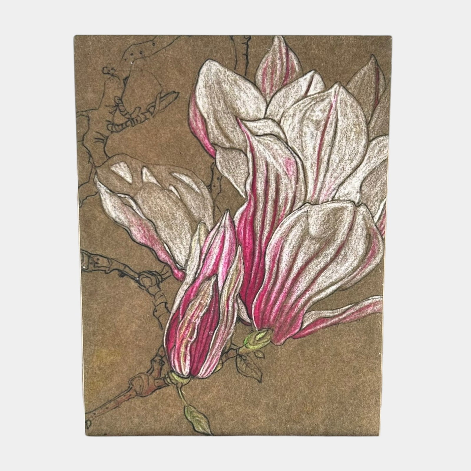 Studio Art Pottery Magnolia Blossom Floral Arts & Crafts Style Ceramic Tile Wall Plaque: Professional, fast, and affordable in house shipping available for all items. For higher resolution images please visit bid.craftedauctions.com Studio Art Pottery Magnolia Blossom Floral Arts & Crafts