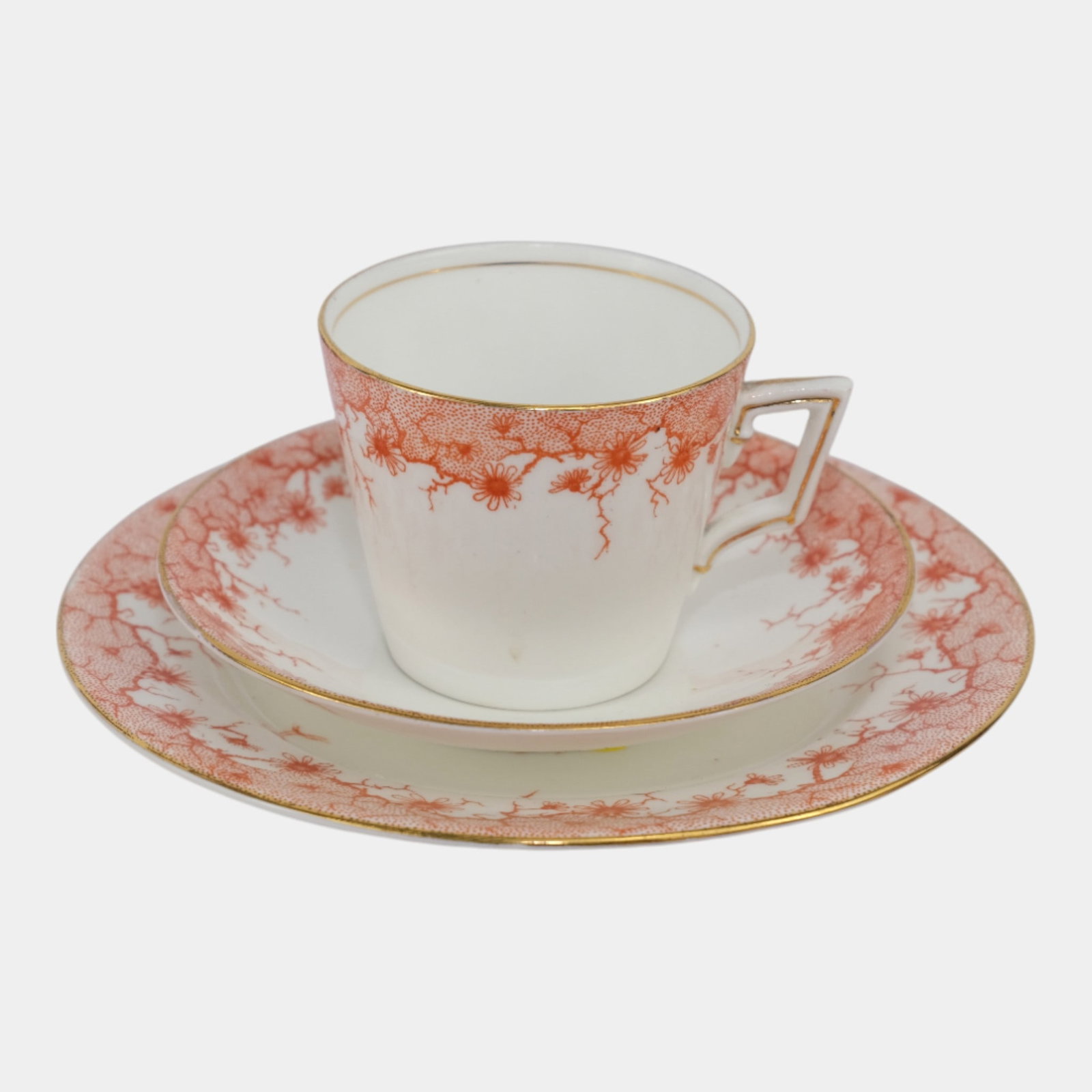 Shelley Wileman English 1890s Trailing Daisy Floral Teacup Saucer Plate Trio (1 of 8)