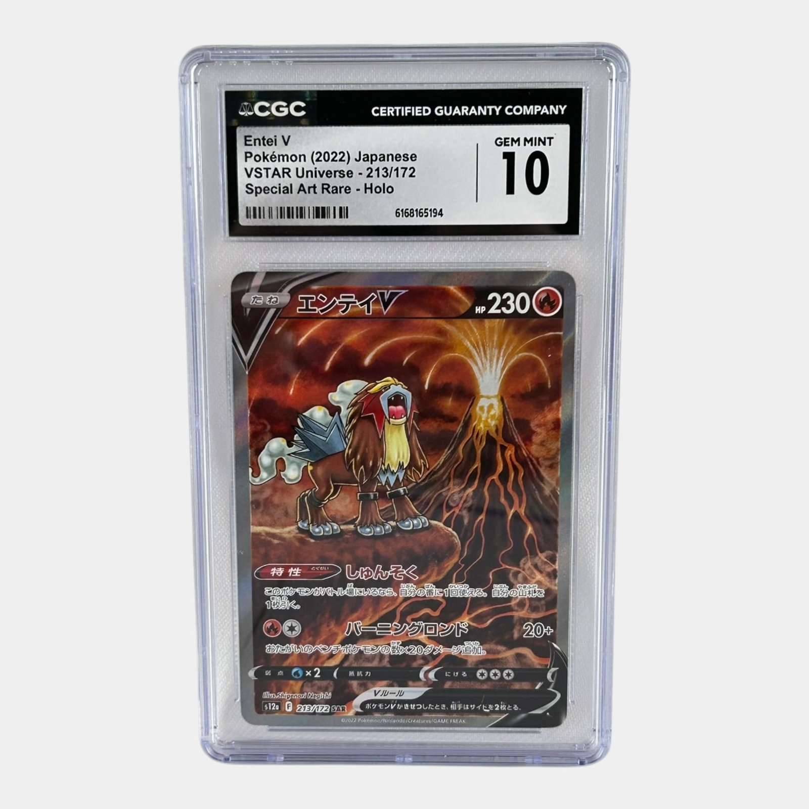 Entei V #213 CGC 10 VSTAR Universe Special Art Rare Holo Japanese Graded Pokemon Card (1 of 2)