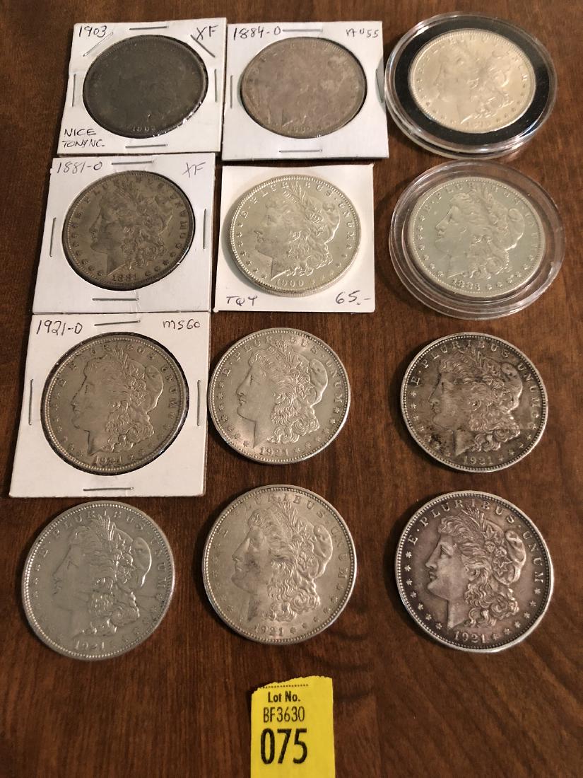 12 Morgan Silver Dollars (1 of 2)