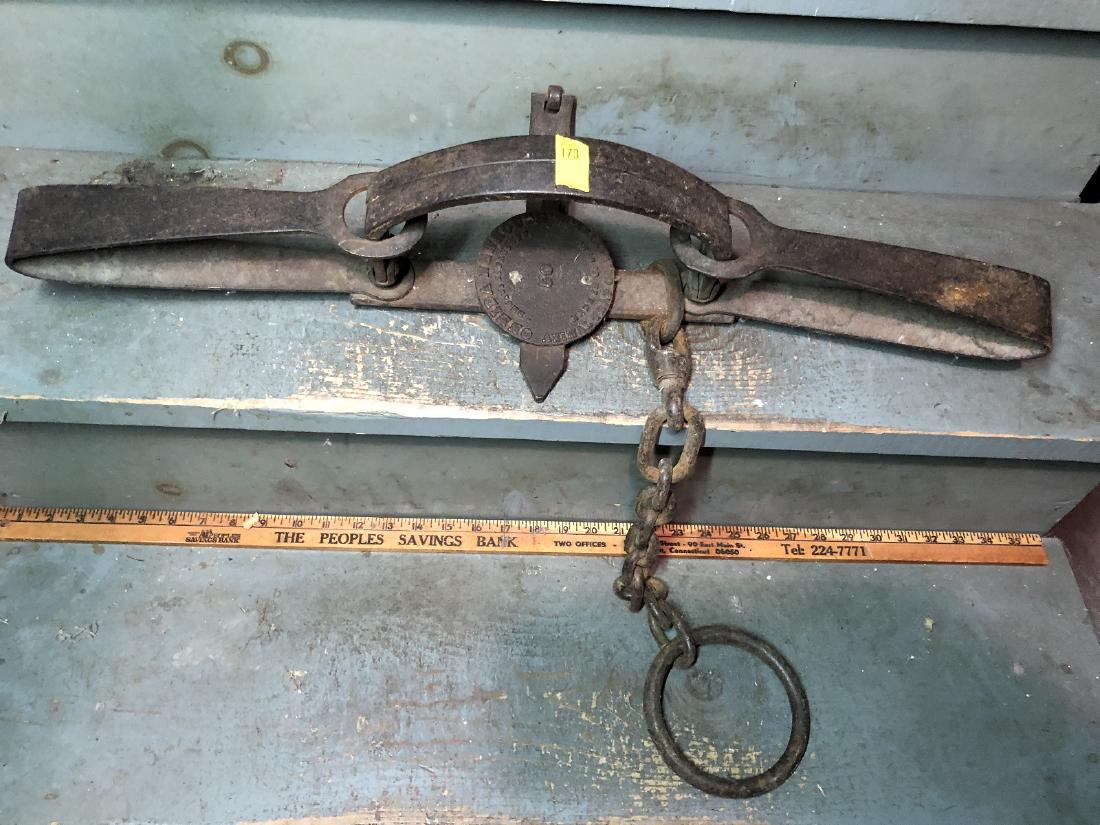 Newhouse No.. 50 Bear Trap (1 of 2)