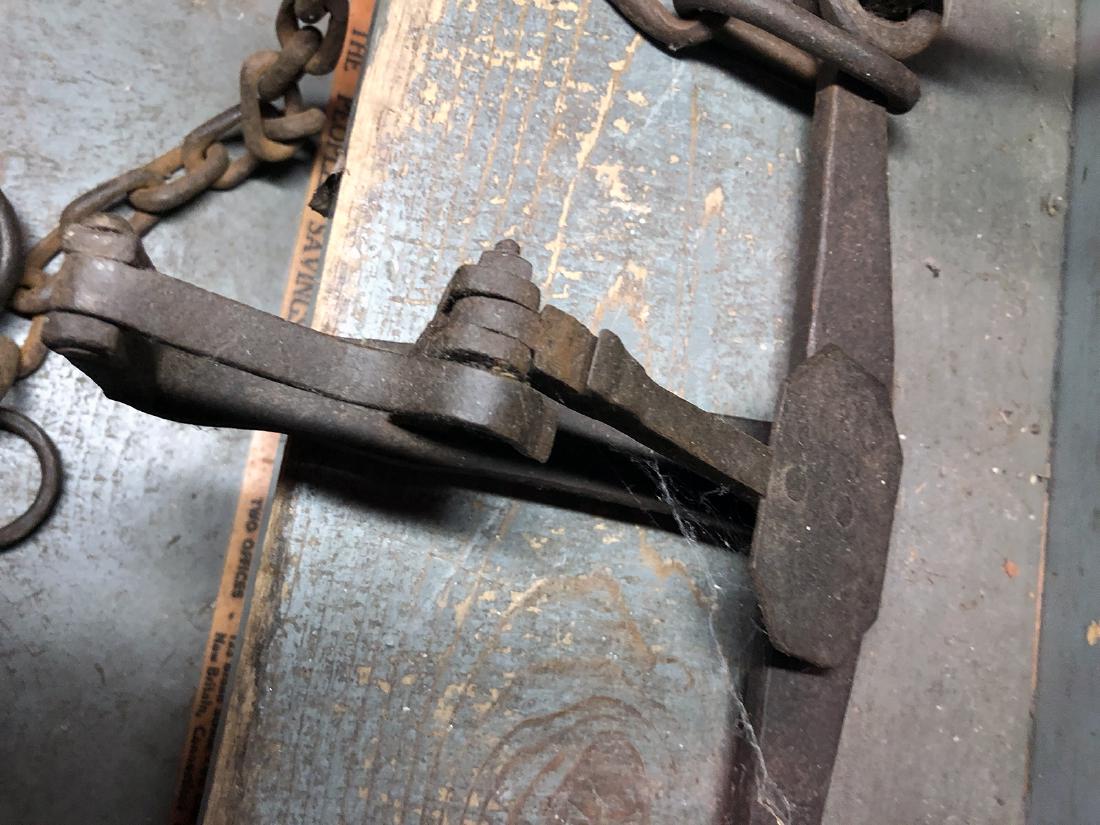 Antique Bear Trap - 3