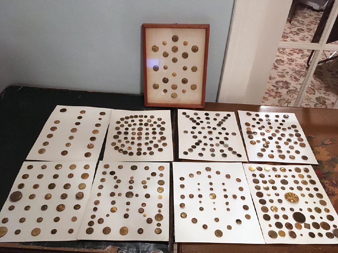 8 Cards and Shadow Box of Buttons: 8 Cards of buttons and shadow box display of early brass (possible military), brass advertising buttons, many are marked on back with manufacturer name. These come from a life long collection of thous