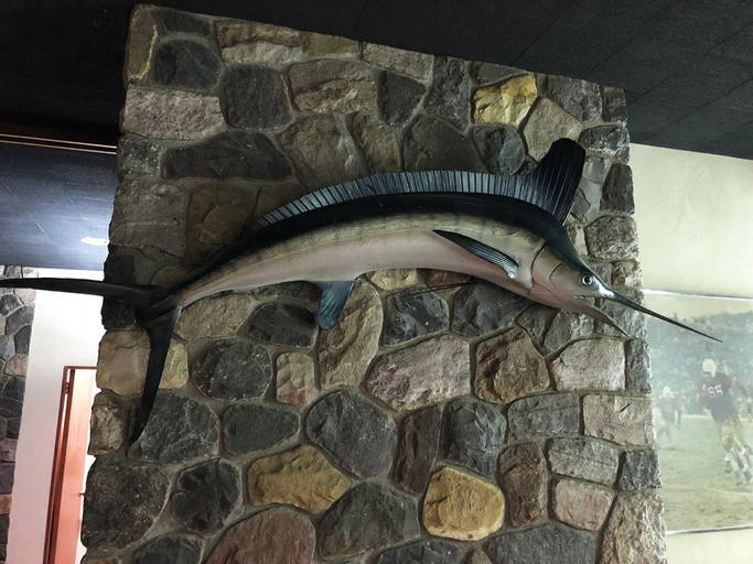 Swordfish Mount