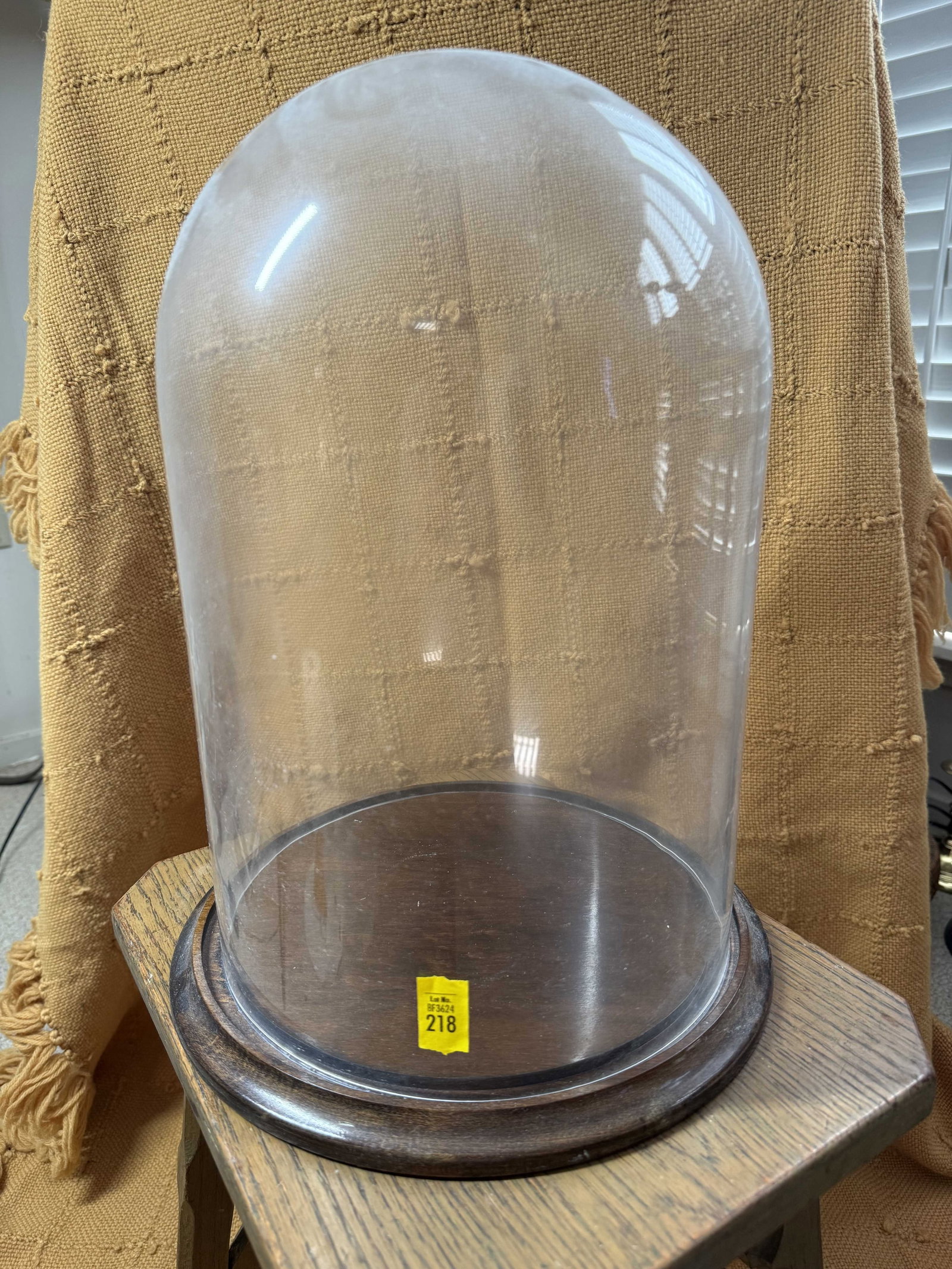 Glass Display Dome (Cloche) (1 of 3)