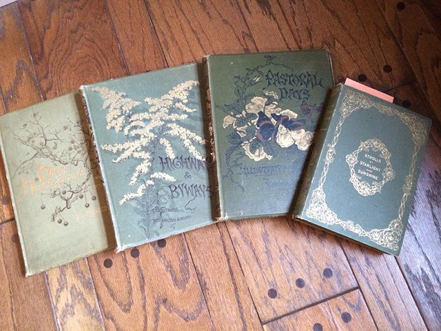 4 Vintage Books by William Hamilton Gibson: 4 Vintage Books by William Hamilton Gibson. Happy Hunting Grounds, Harpers & Brothers 1887, Highways and Byways, Harper & Brothers 1883, Paastoral Days, Harper & Brothers 1881, and Strolls by Starligh