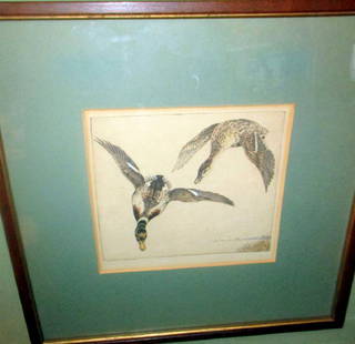 Etching of Mallards by Benson B Moore: Etching of mallard ducks, pencil signed and labeled on back. Measures 14" in. by 14" in. end to end of frame.