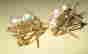 item-60122739=2
