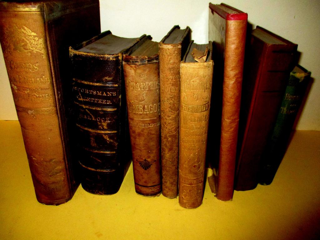 Lot of 8 Various Antique Hunting & Game Books (1 of 4)