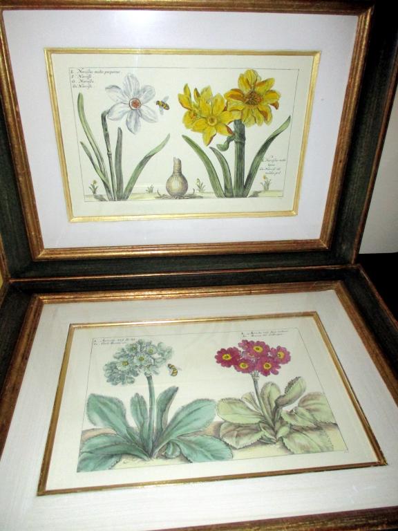 Two Custom Framed Botanical Prints (1 of 3)