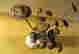 item-99967730=4