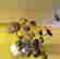 item-99967730=5