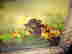 item-127941979=2