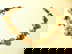 item-207805578=1