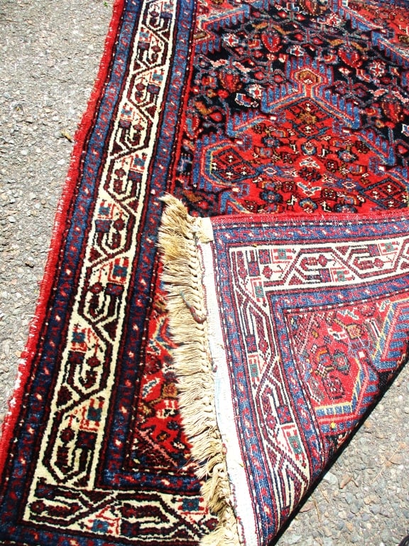Hamadan Oriental Rug - 2