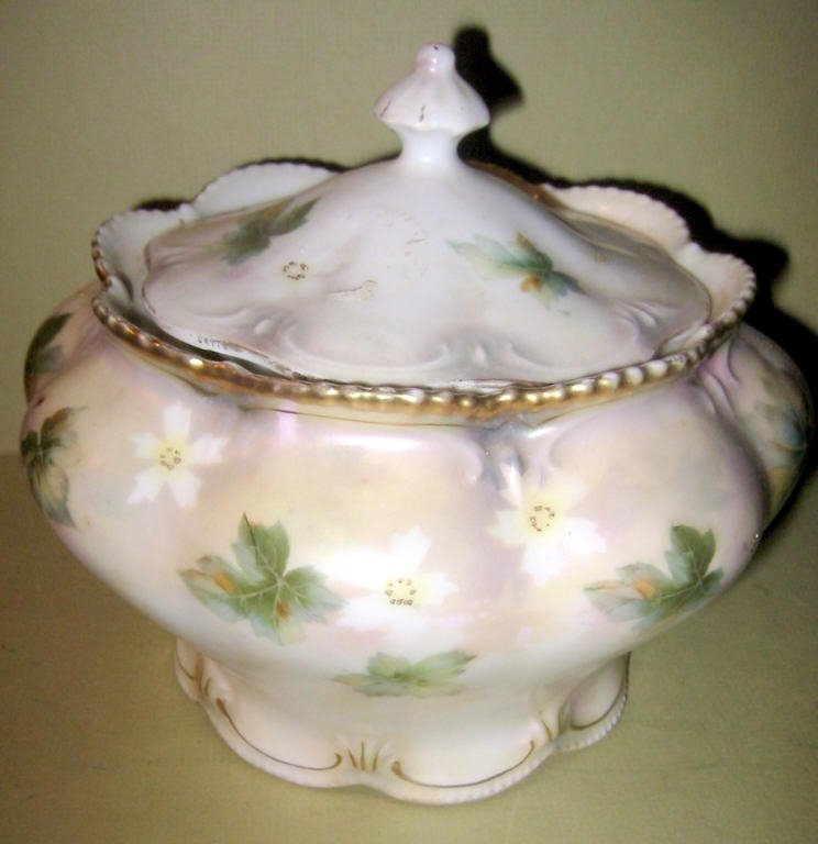 R.S. Prussia Covered Jar: R.S. Prussia covered sugar or biscuit jar in good condition. Seems a little too big to be a sugar bowl.