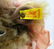 Vintage (60) STEIFF Suzanne Gibson Grandma & Red Riding - 6