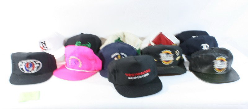 12 Baseball hats including: Whitesnake, Poison, Nas: 12 Baseball hats including: Whitesnake, Poison, Nascar /w pins x2, ZZ Top, INXS, Moody Blues, and more