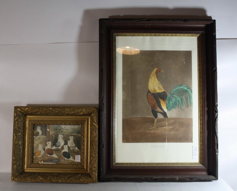 Hand colored engraving "Peace" painted by A. Marsh: Hand colored engraving "Peace" painted by A. Marshall, print "fine feathered world" by Ludlow