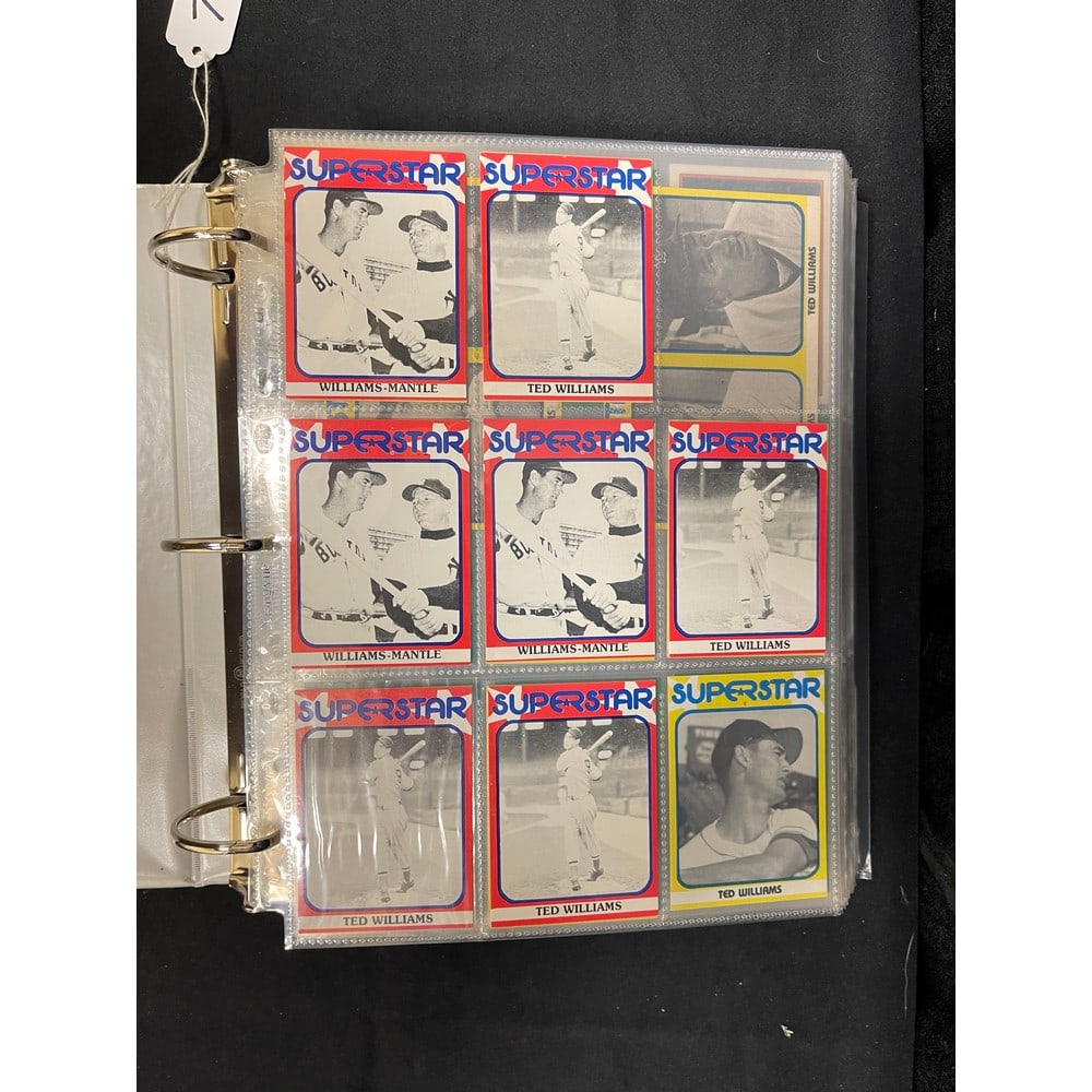 Over 450 Modern Ted Williams Promo Cards/inserts (1 of 6)