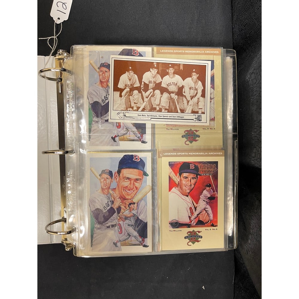 Over 130 Modern Ted Williams Insert/promo Cards (1 of 7)