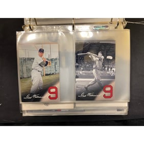 Over 100 Ted Williams Promo Items