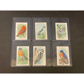 (19) 1918 Useful Bird Of The World Cards