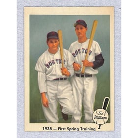 Hi Grade 1959 Fleer Ted Williams #11
