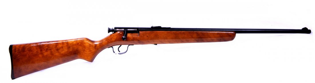 Savage Arms Springfield 120 Rifle 22 cal: Savage Arms Springfield 120 Rifle 22 cal